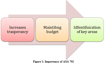 Auditors Report Assignment.png